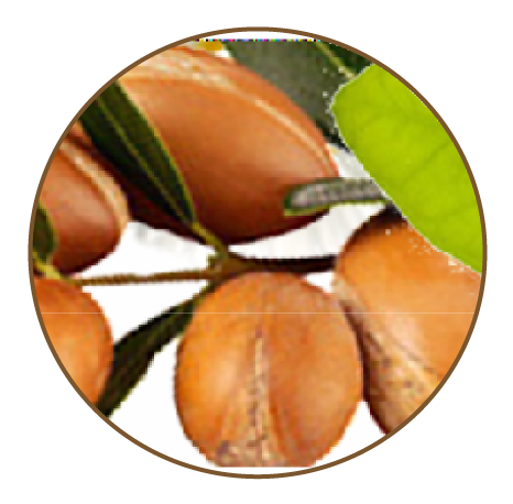 Keratin Argan Shampoo - argan oil