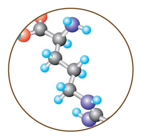 Keratin Argan Shampoo